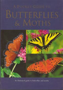 A_pocket_guide_to_butterflies___moths