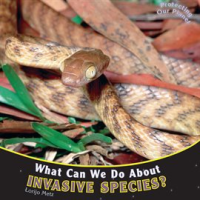 What_Can_We_Do_About_Invasive_Species_