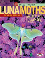 Luna_Moths
