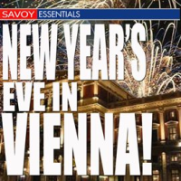 New_Year_s_Eve_in_Vienna