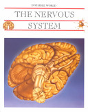 The_nervous_system__our_data_processor