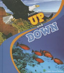 Animals_up_and_down