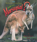 What_is_a_marsupial_