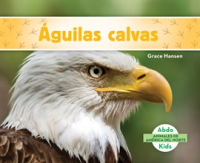 __guilas_calvas__Bald_Eagles_