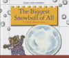 The_biggest_snowball_of_all