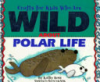 Crafts_for_kids_who_are_wild_about_polar_life