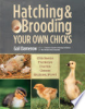 Hatching___brooding_your_own_chicks