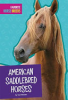 American_saddlebred_horses