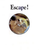 Escape____a_story_of_the_underground_railroad