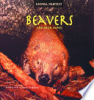 Beavers_and_their_homes