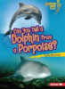 Can_You_Tell_a_Dolphin_from_a_Porpoise_