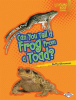 Can_You_Tell_a_Frog_from_a_Toad_
