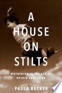 A_house_on_stilts