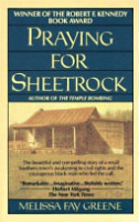 Praying_for_sheetrock