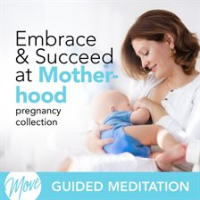 Embrace___Succeed_at_Motherhood