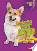 Pembroke_Welsh_corgis