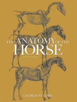The_Anatomy_of_the_Horse