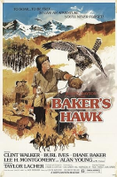 Baker_s_hawk