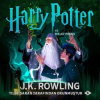 Harry_Potter_ve_Melez_Prens