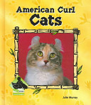 American_curl_cats