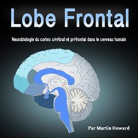 Lobe_Frontal__Neurobiologie_du_cortex_c__r__bral_et_pr__frontal_dans_le_cerveau_humain