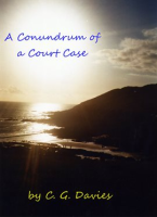 A_Conundrum_of_a_Court_Case