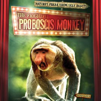 The_Frightful_Proboscis_Monkey