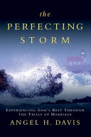 The_perfecting_storm